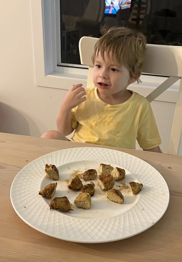 ASD 3 Honey Soy Chicken Bites